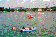 klopein200234.jpg
